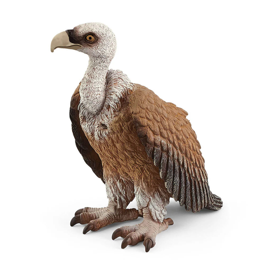 Animales Para Niños De 3 + Años Schleich Figura Buitre
