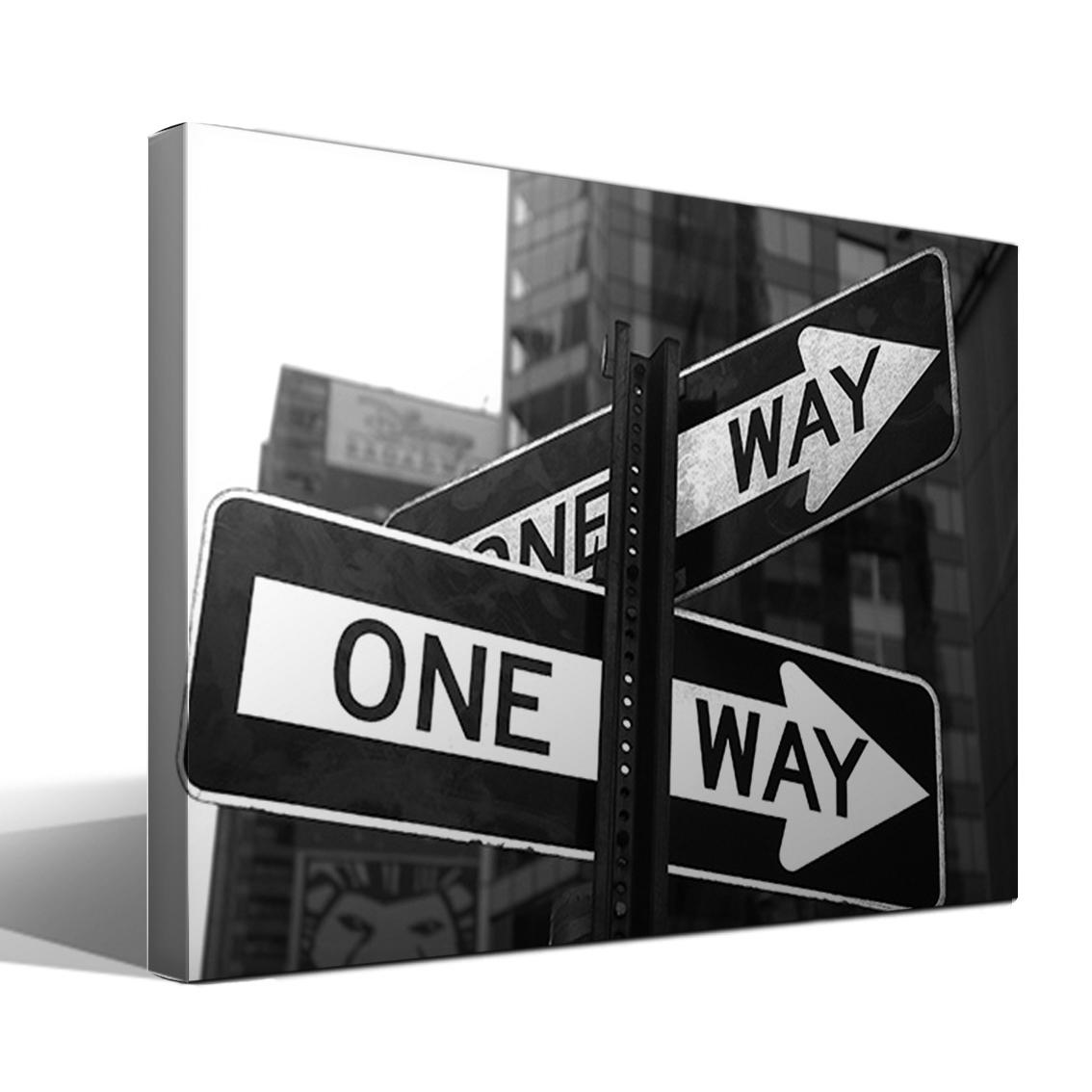 Cuadro Canvas One Way - Imagen Realista - Lienzo de Algodón - Bastidor de Madera - Calidad Superior - Fabricado a Mano - Decoración de Pared