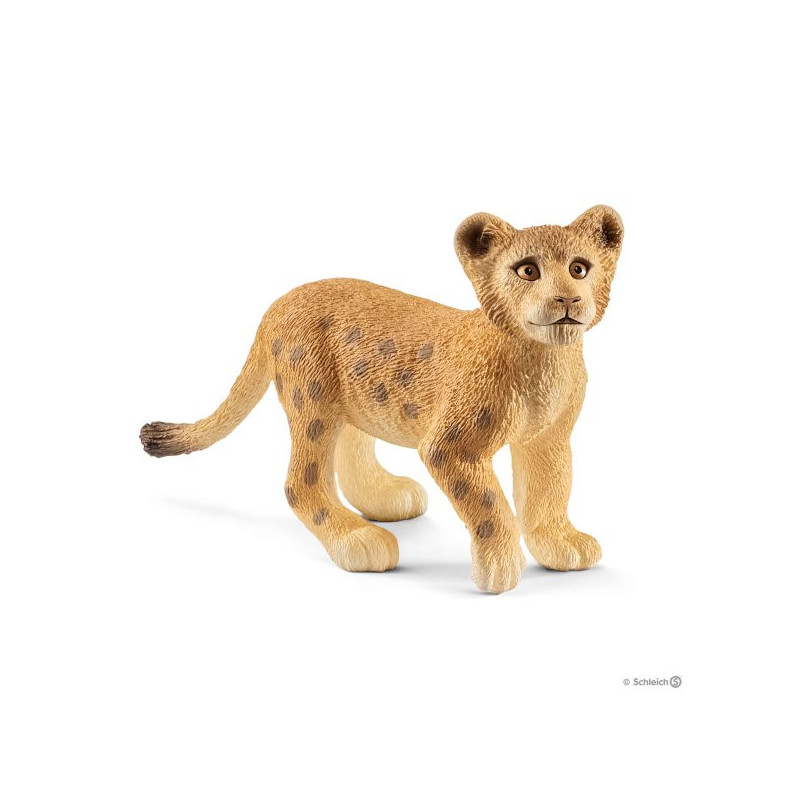 Cachorro de león
