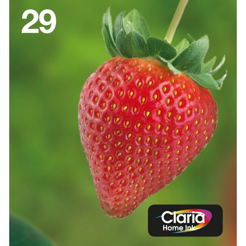 Epson - Strawberry Multipack 4-colours 29 EasyMail C13T29864511