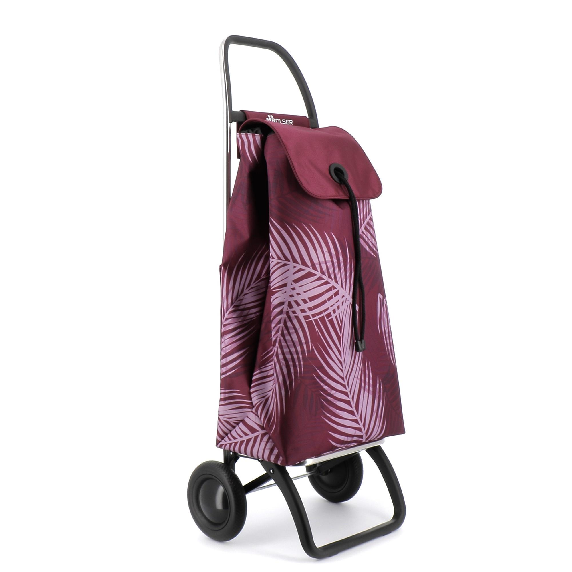 Carro Rolser I Max Costa Rica 2 Ruedas