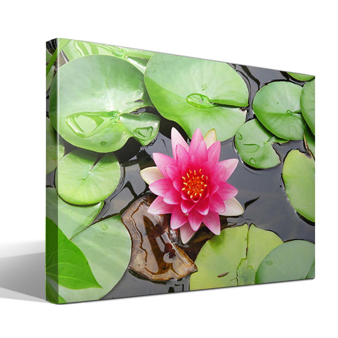 Cuadro Canvas Nenufar Plantas Acuaticas - Lienzo de Algodón 100% - Bastidor de Madera 3x3cm - Calidad Superior