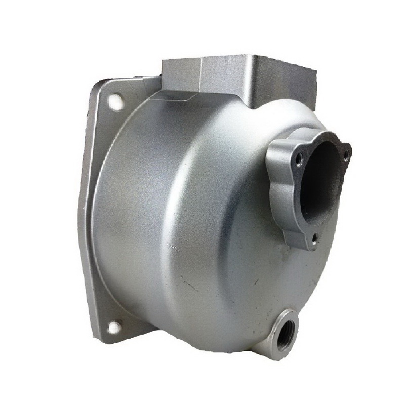 MAMIGA Cuerpo Bomba compatible con Motobomba Qgz100 | Ref 976904
