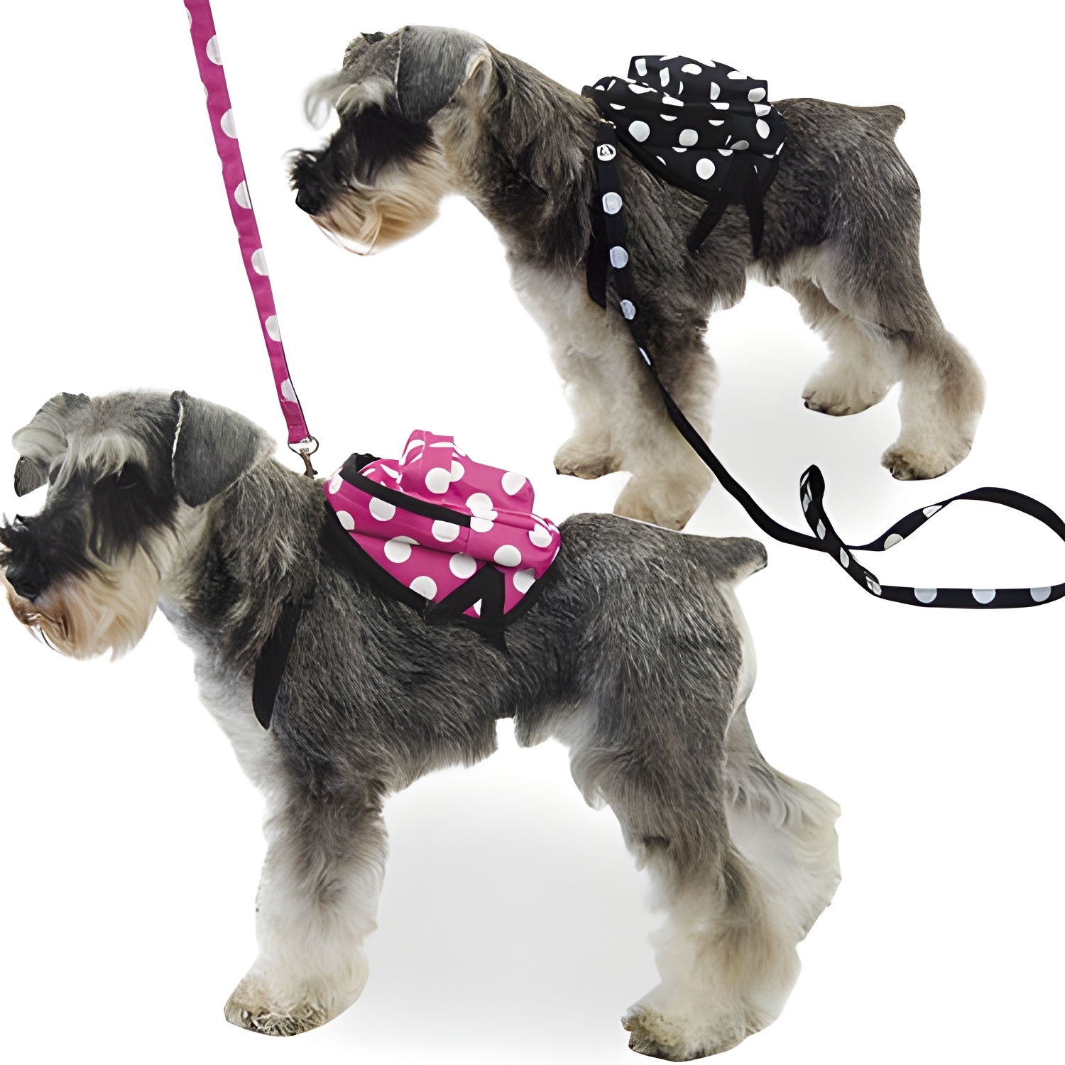 Mochila para Perros Pequeños Ibañez con Lunares Blancos y Correa a Juego