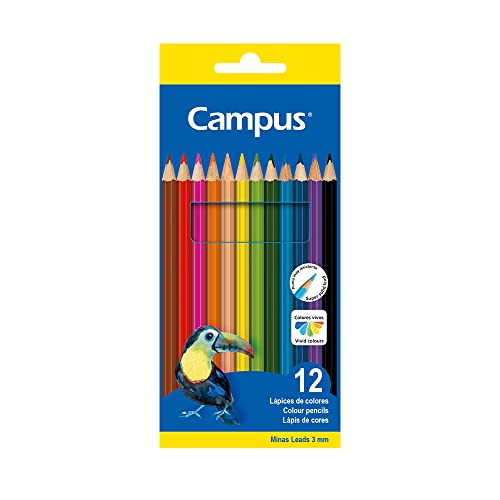 Lápices de Colores Campus College - Pack 12 Lápices Hexagonales
