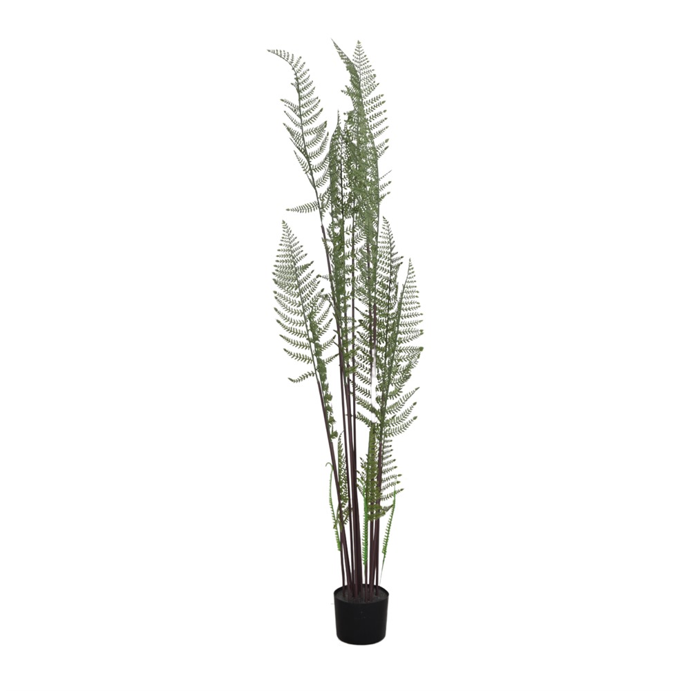 Planta Artificial Decorativa árbol Helecho Macho - Misterwils Furniture For Free Souls 20x165x20