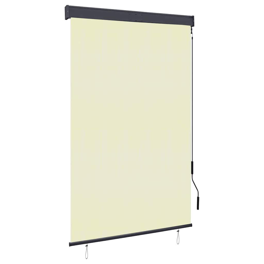 vidaXL Estor enrollable de exterior 120x250 cm
