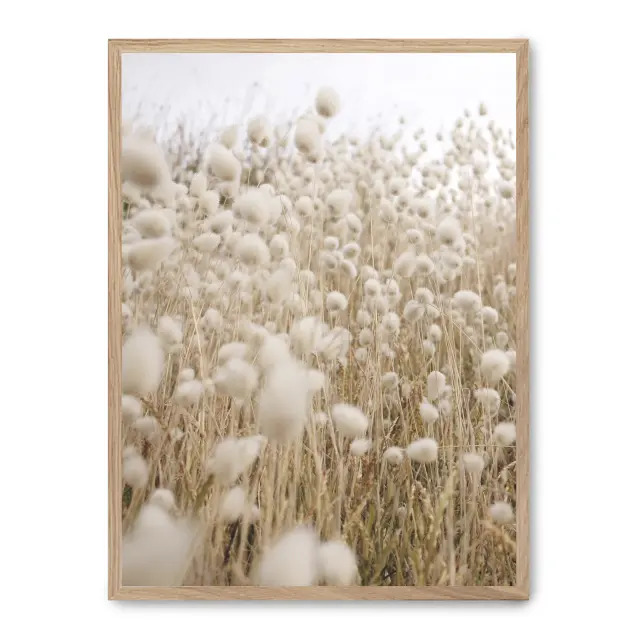 Cuadro cotton sea 30x40cm, Póster impreso en papel de primera calidad de 180gr, montado sobre marco de madera MDF acabado roble., Botánica - Naturaleza - Playantas