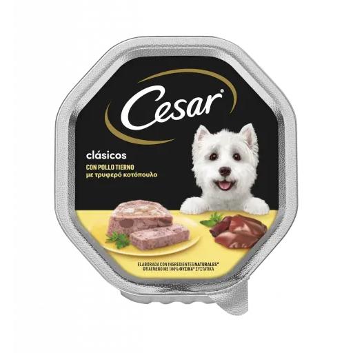 Cesar Comida Húmeda para Perros Sabor Pollo en Paté Tarrina - 150 GR