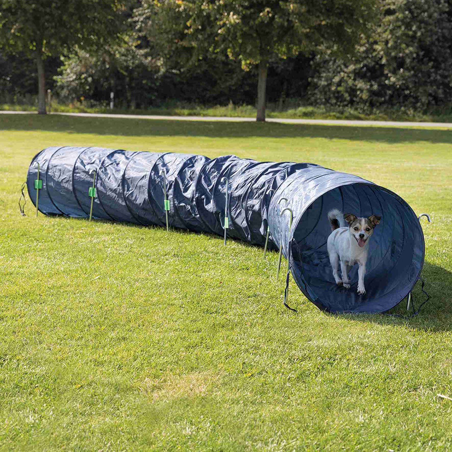 TRIXIE Túnel Básico para Agility azul