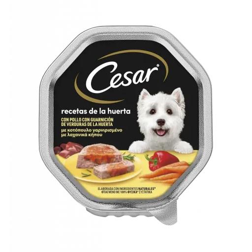 Cesar Comida Húmeda Perros Recetas de la Huerta en Paté y Gelatina Tarrina - 150 GR
