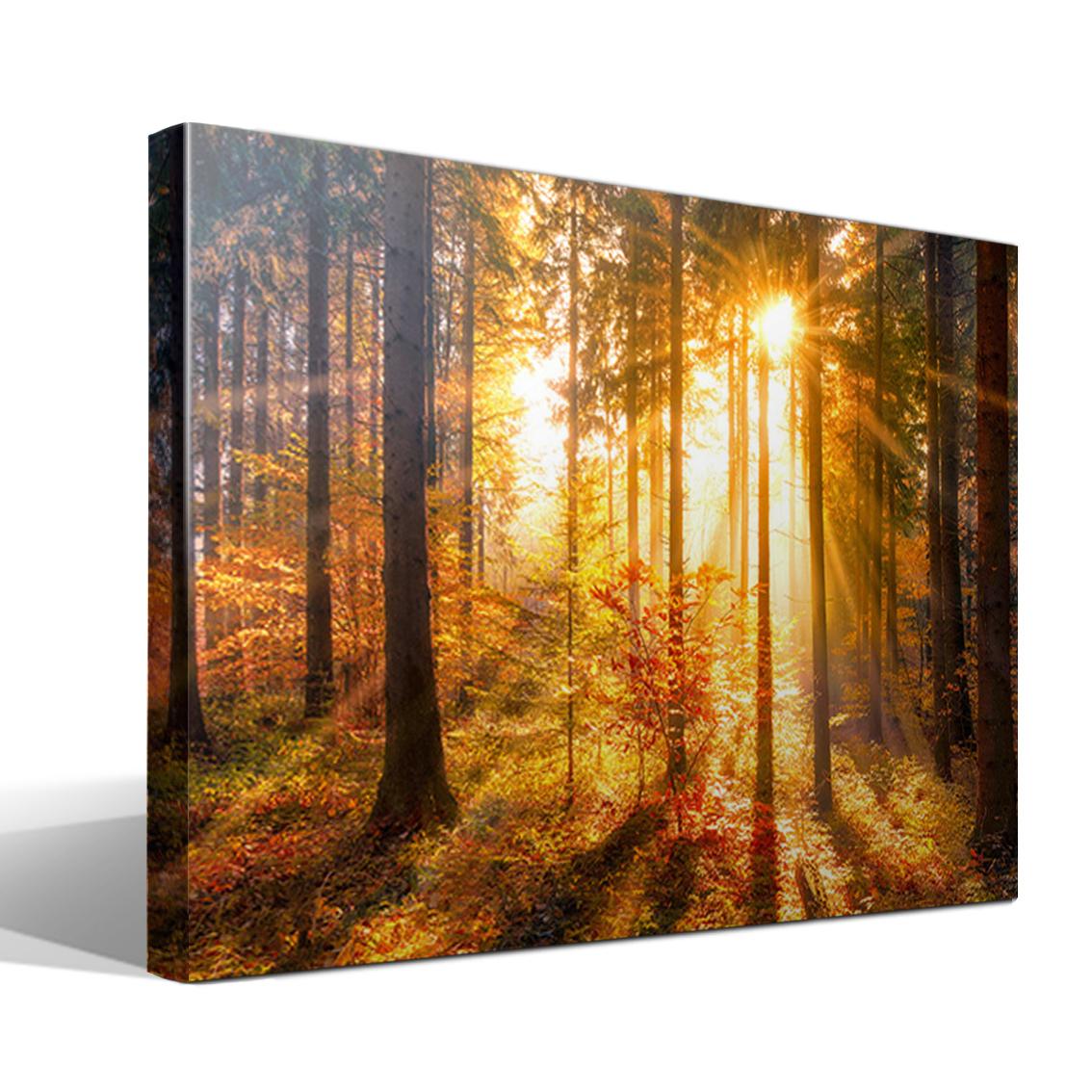 Cuadro Canvas Otoño en el Bosque - Alta Resolución - Lienzo 100% Algodón - Bastidor de Madera - Fabricado en España