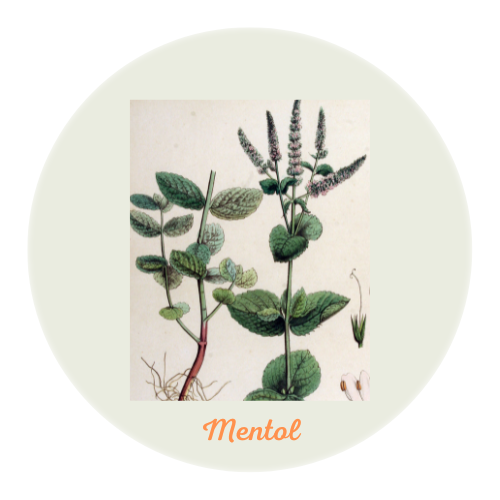 Ingredientes naturales