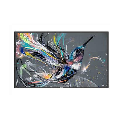 Philips 50BDL3550Q/00 - 49.5" -  UHD+ - Negro