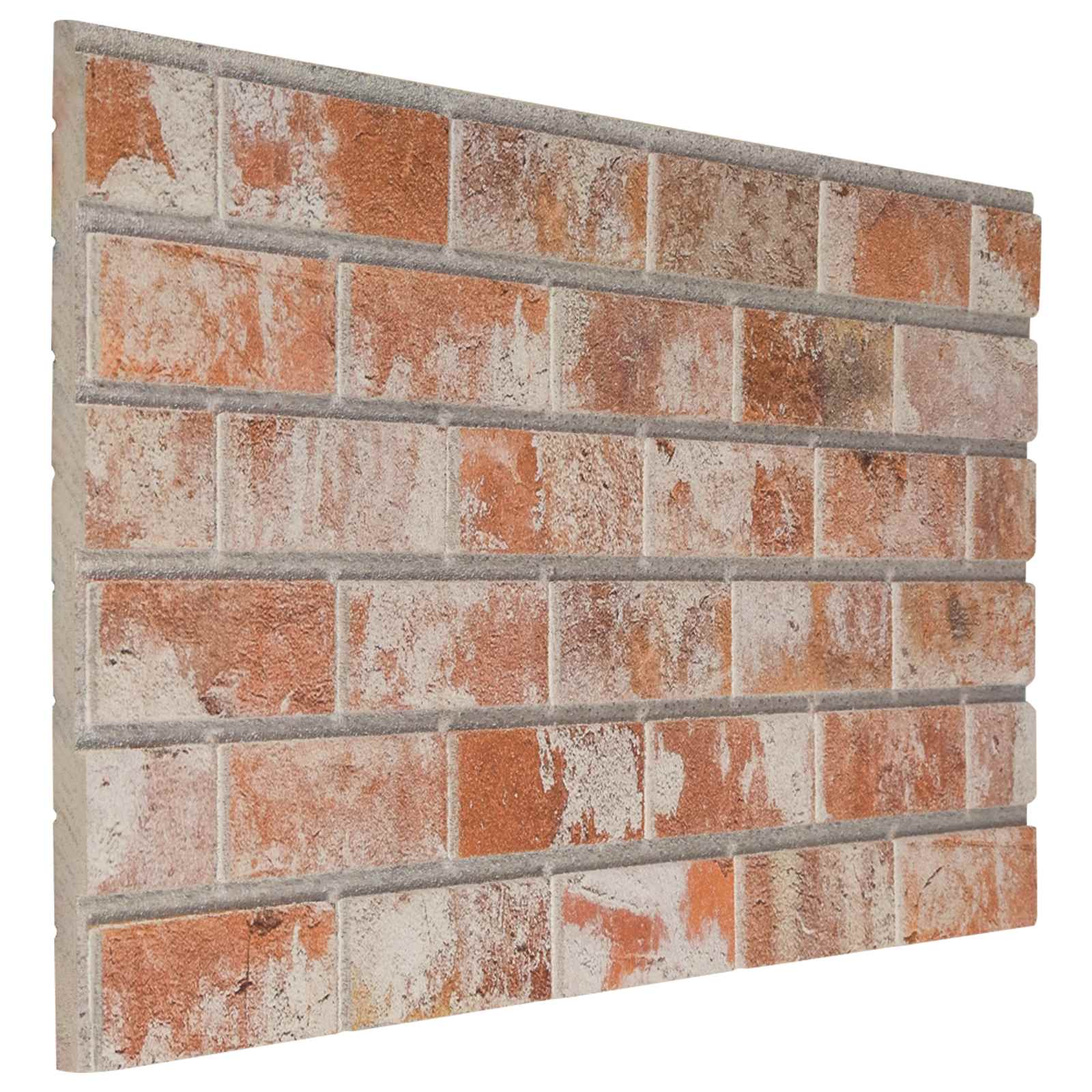 vidaXL Paneles de pared 10 pcs 100 x 50 cm Espuma EPS Multicolor