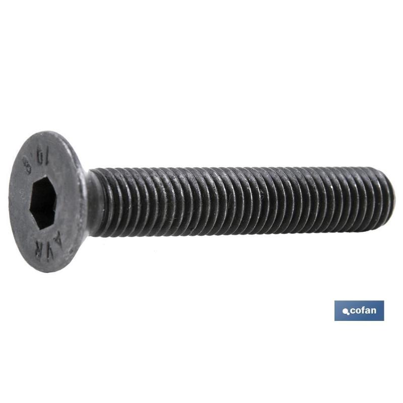 Din-7991 c-10.9  m-24 x 100 n   caja 5 unid.
