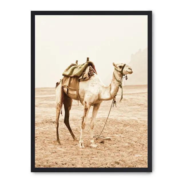 Cuadro camel trip 30x40cm, Póster impreso en papel de primera calidad de 180gr, montado sobre marco de madera MDF acabado en negro., Naturaleza - Desierto