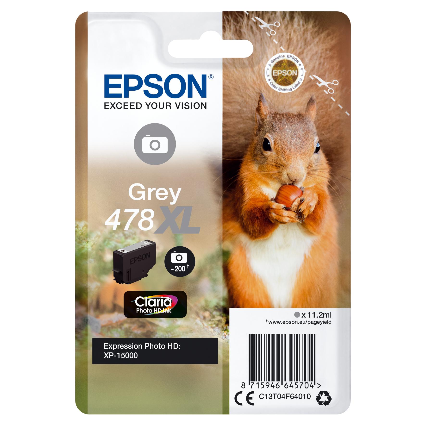 Epson C13T04F64010 Gris C13T04F64010