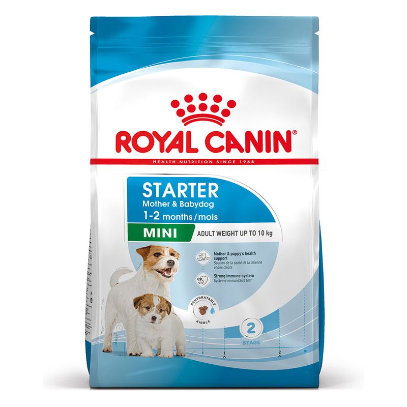 Royal Canin – Pienso para hembras gestantes, lactantes y cachorros Mini Royal Canin Starter Mother & Babydog.