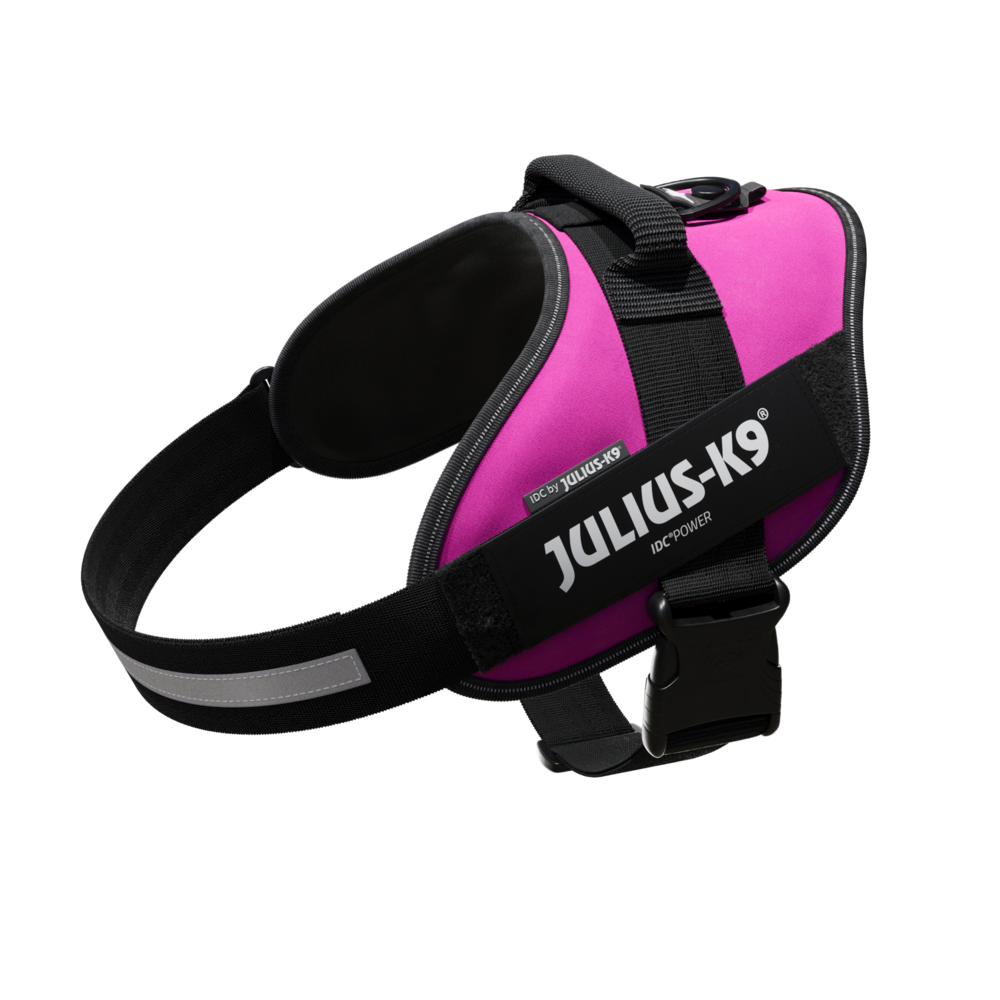 Arnés Julius K9 IDC para Perros - Diseño Ergonómico y Deportivo