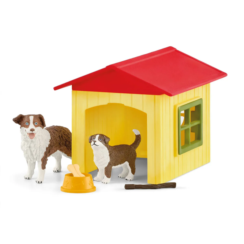 Caseta de perro