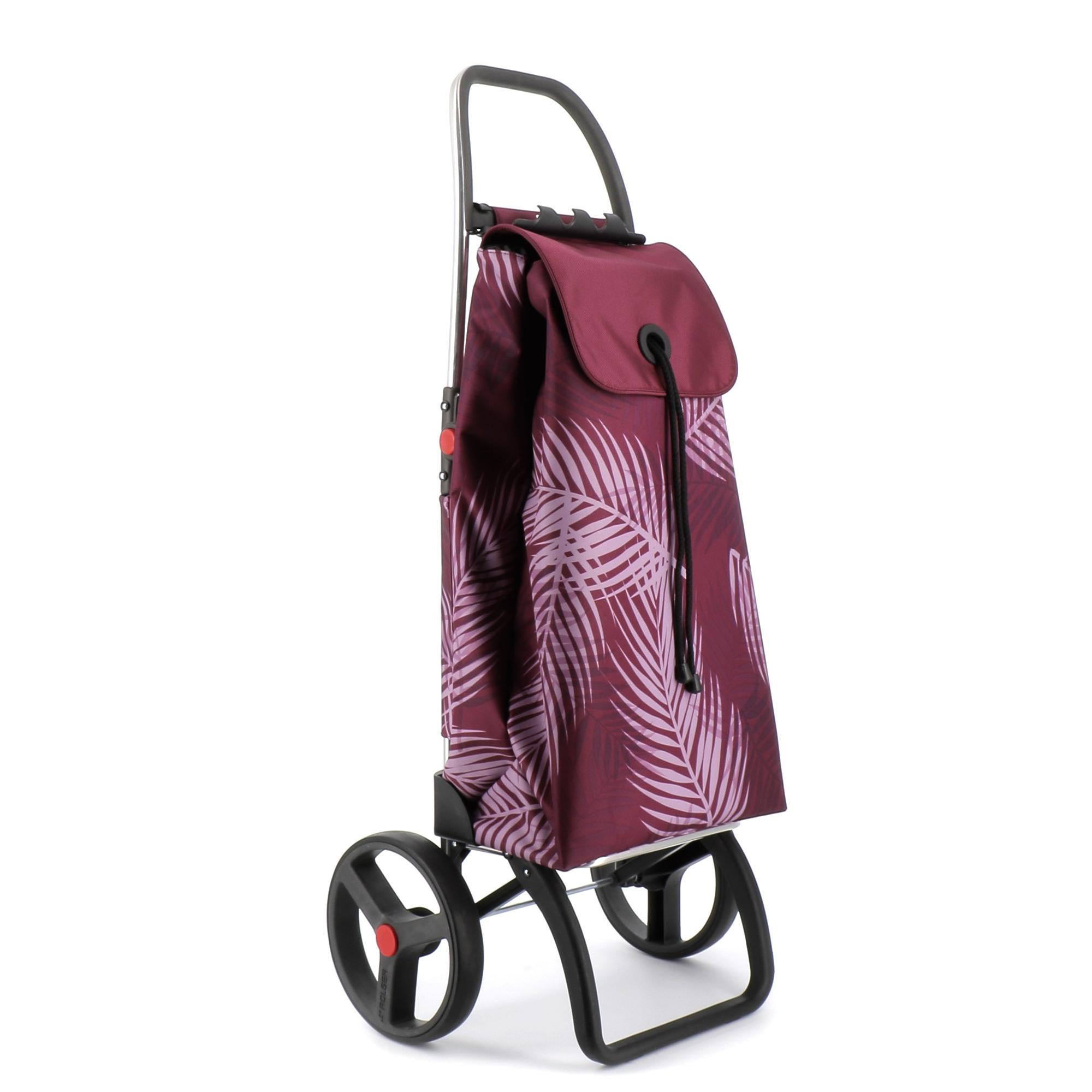 Carro Rolser I Max Costa Rica 2 Ruedas Grandes Plegable
