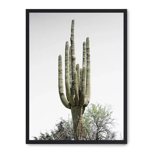 Cuadro cactus saguaro i 30x40cm, Póster impreso en papel de primera calidad de 180gr, montado sobre marco de madera MDF acabado en negro., Naturaleza - Desierto