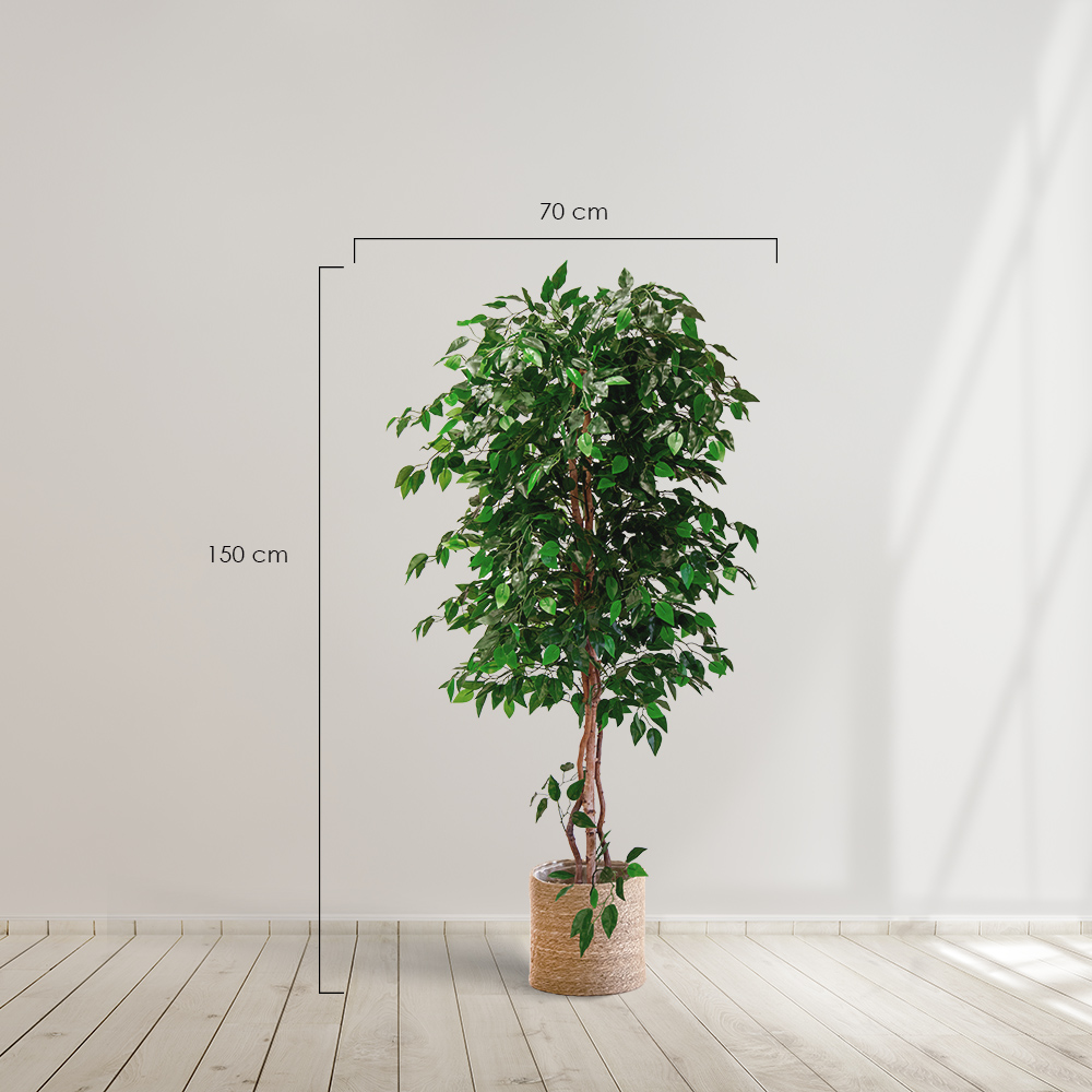 Planta artificial MAIA SHOP Ficus  Artificial árbol. Decoración hogar. Decoración oficina, hoteles, eventos, bodas. Disponible en varios tamaños: Altura de 105 cm, 150 cm, 180 cm y 190 cm