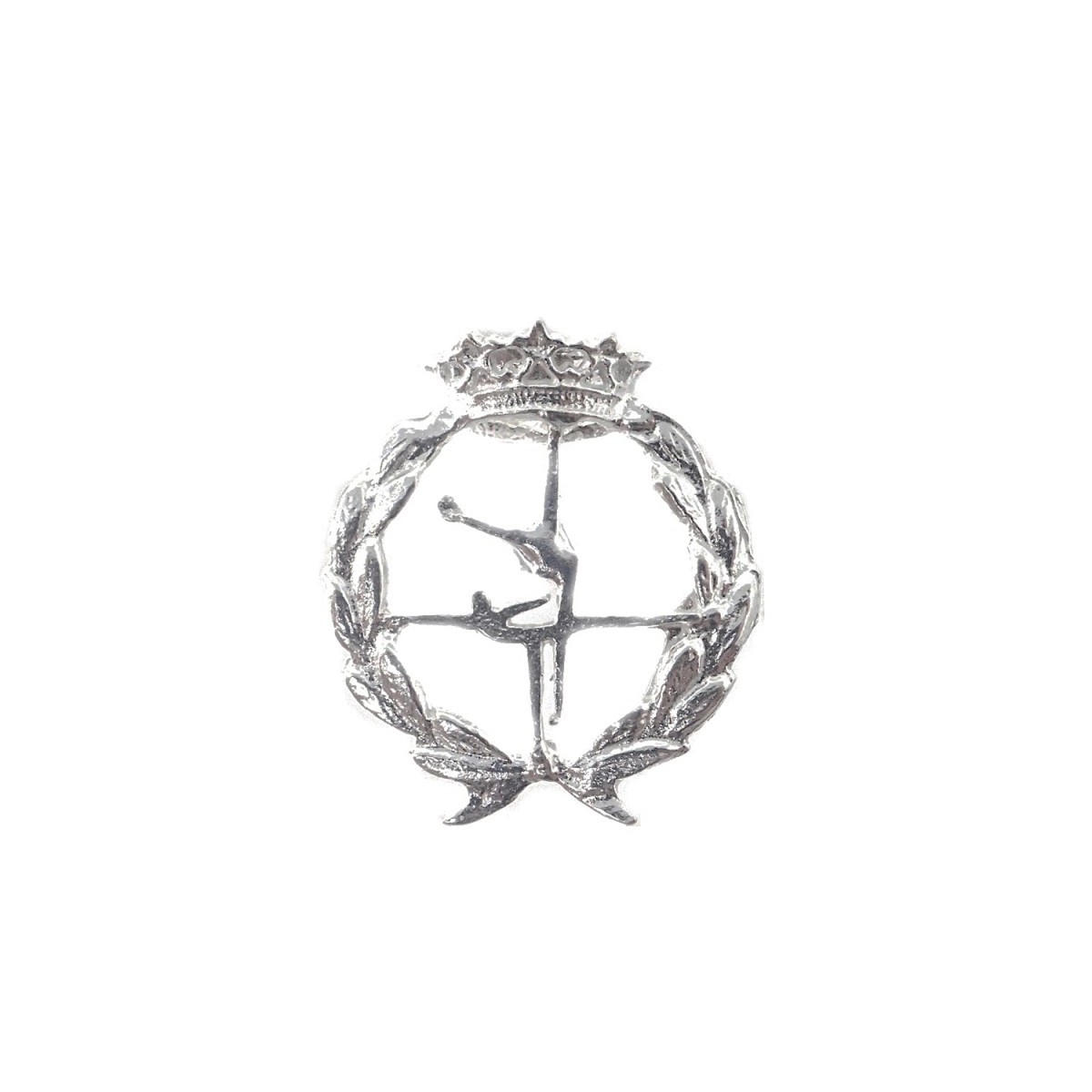 Insignia profesional Ciencias de la Actividad Física y del Deporte plata Ley 925m 16 mm.