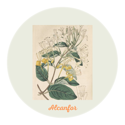 Apto para todo tipo de piel