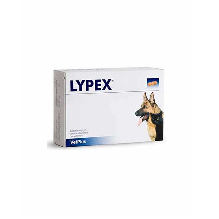Suplemento Enzimas Pancreáticas Lypex 60 Cap Vet - Mejora Digestión