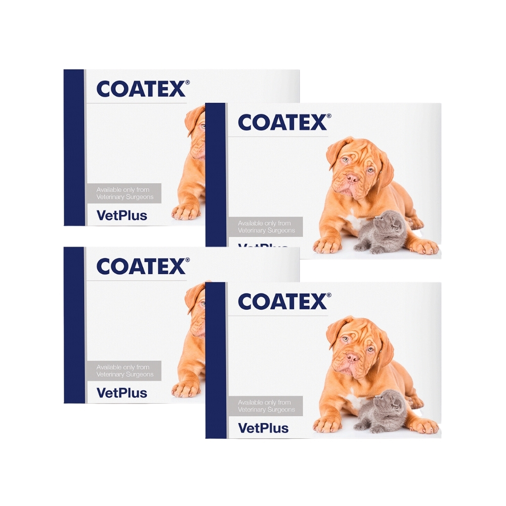 Vetplus - VETPLUS - Coatex (240 Cápsulas) - Complemento dermatológico para Perros y Gatos