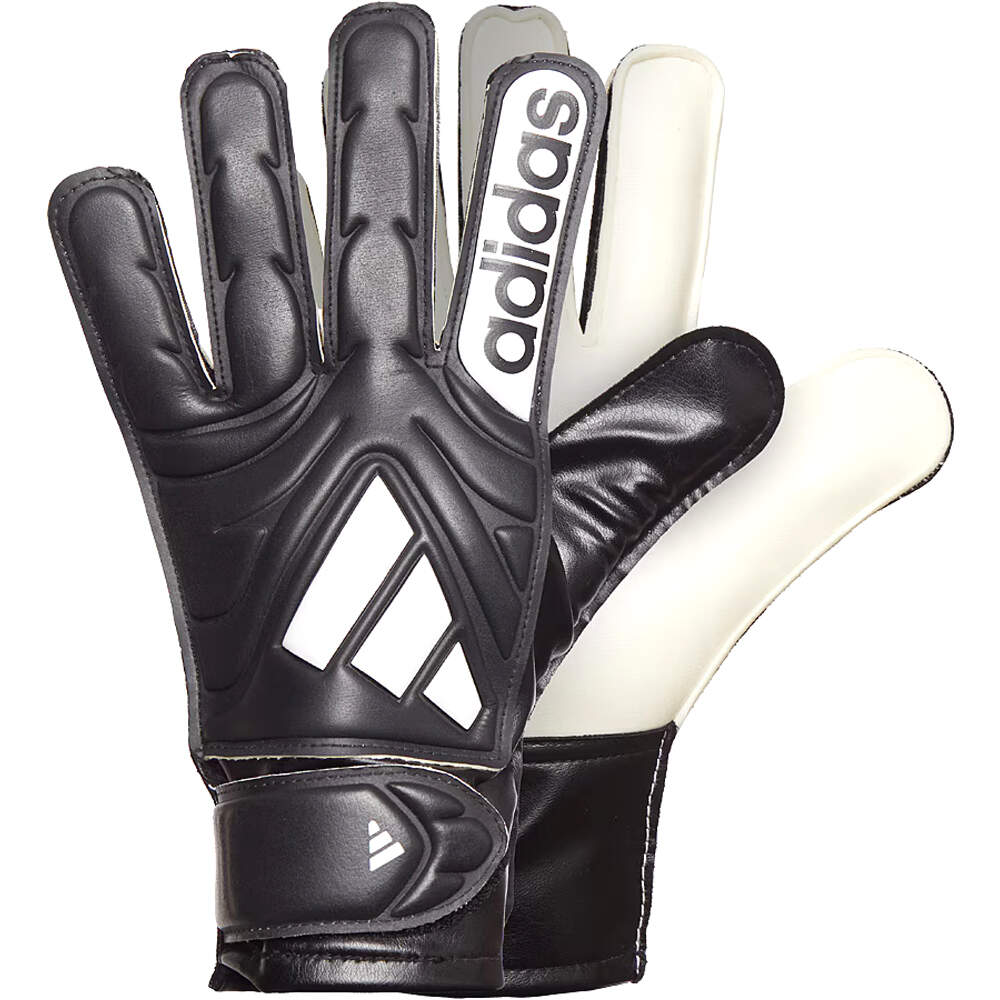 COPA GL CLB J NEBL