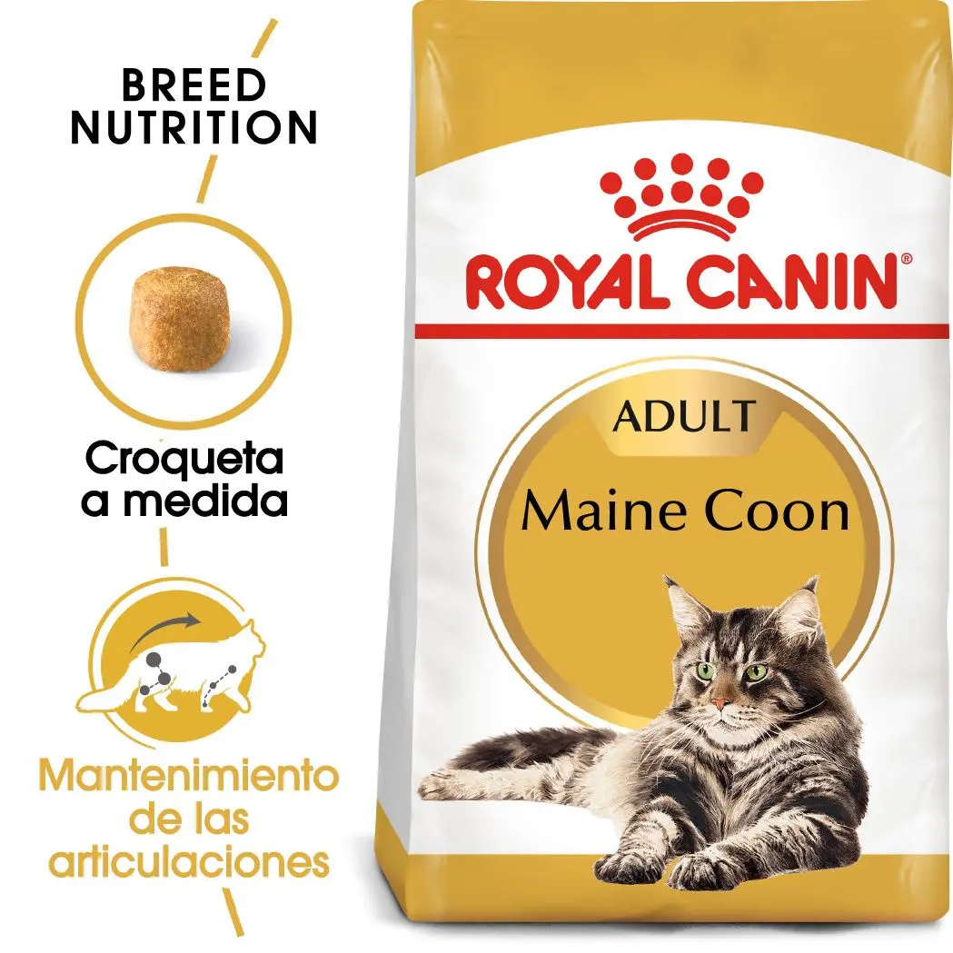 ROYAL CANIN  FELINE ADULT MAINE COON 31 10KG
