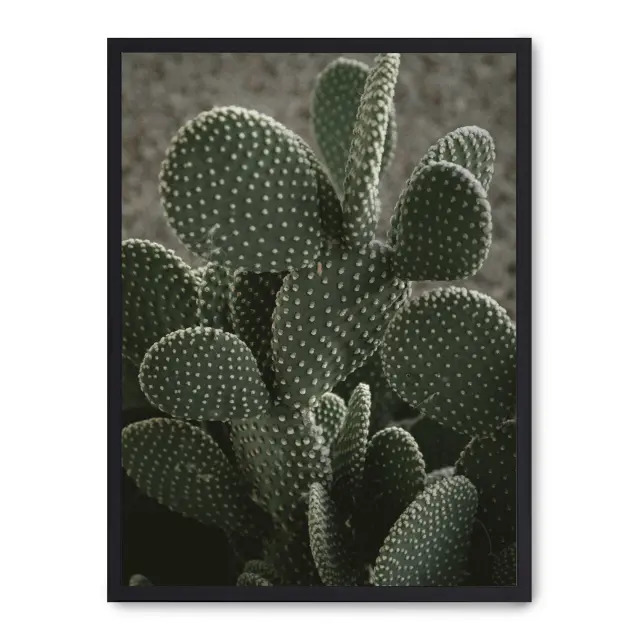 Cuadro cactus ii 30x40cm, Póster impreso en papel de primera calidad de 180gr, montado sobre marco de madera MDF acabado en negro., Botánica - Naturaleza - Playantas