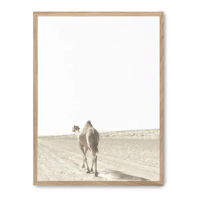 Cuadro camel i 30x40cm, Póster impreso en papel de primera calidad de 180gr, montado sobre marco de madera MDF acabado roble., Naturaleza - Desierto