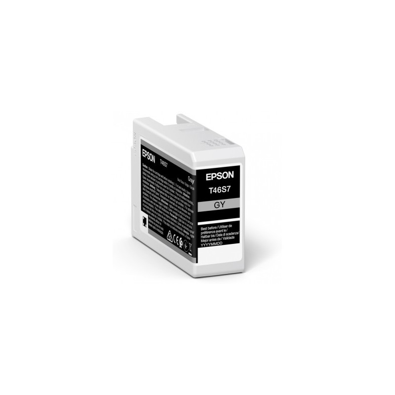 Epson - UltraChrome Pro cartucho de tinta 1 pieza(s) Original Gris C13T46S700