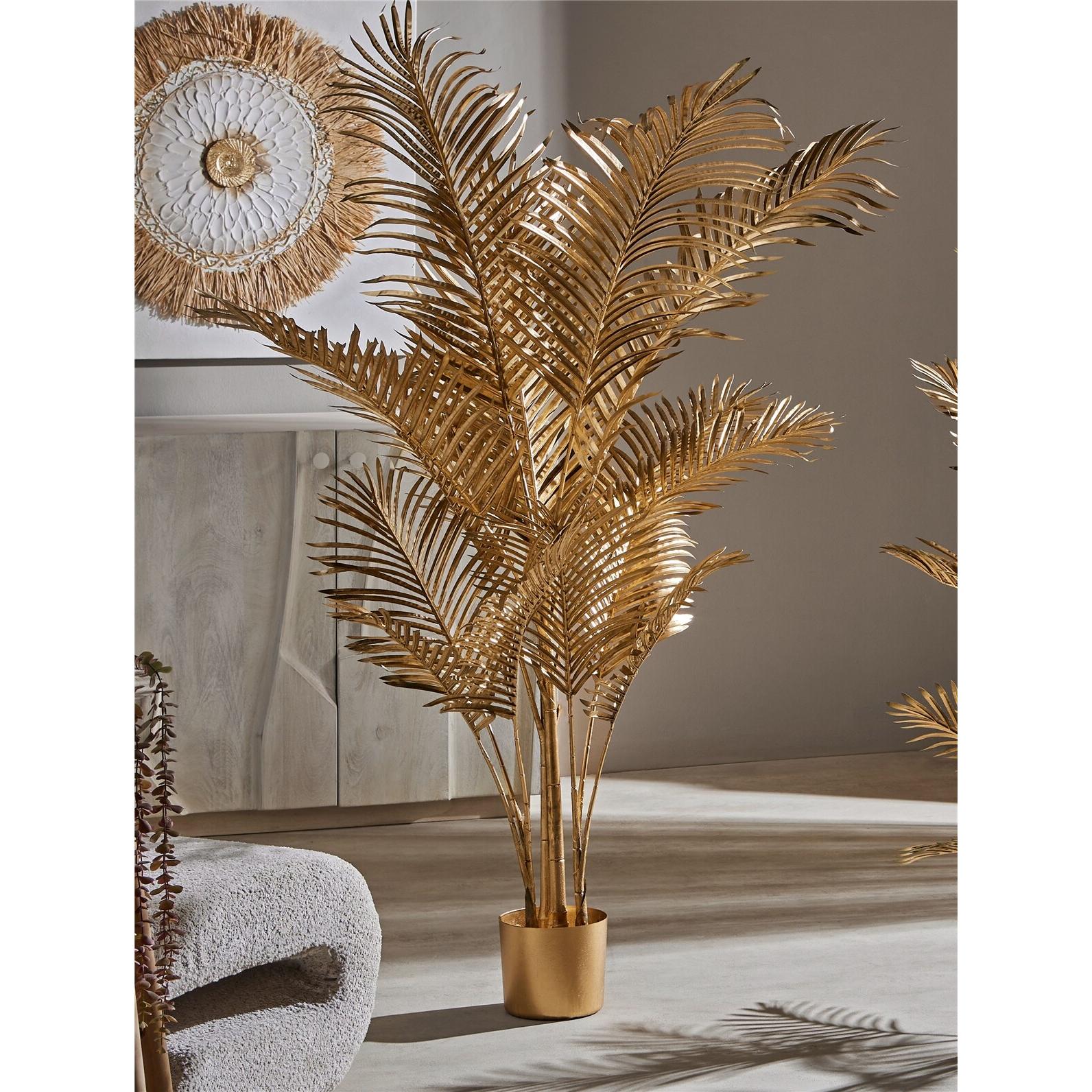 Planta kentia oro 160 cms. 125x160 cms. El mejor complemento para tu hogar lo encontrarás aquí.