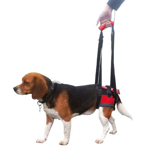 Transportador - Arnés de mano para perros con parálisis en patas delanteras o traseras HANDY CANIS Talla S