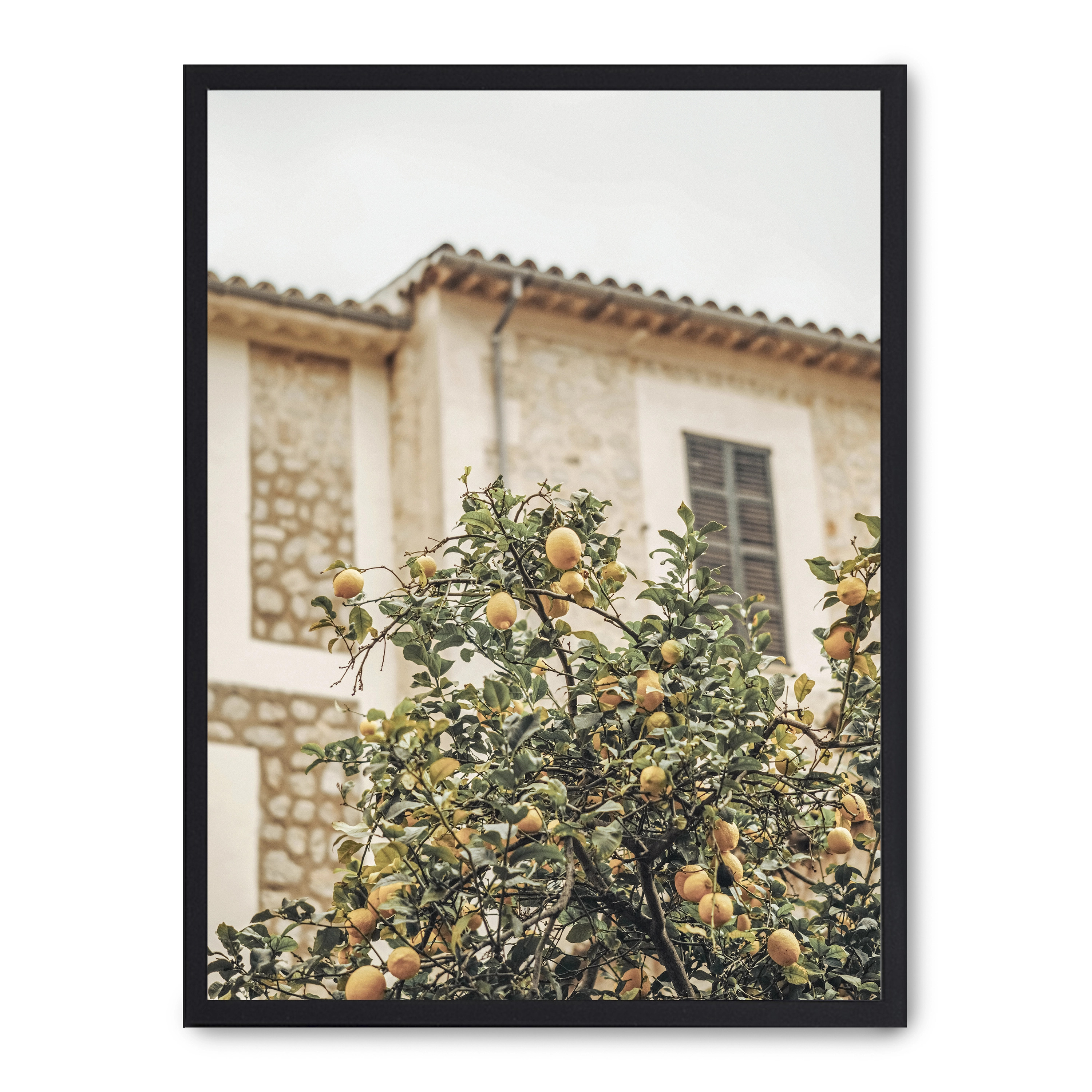 Cuadro lemon tree 30x40cm, Póster impreso en papel de primera calidad de 180gr, montado sobre marco de madera MDF acabado en negro., Arquitectura