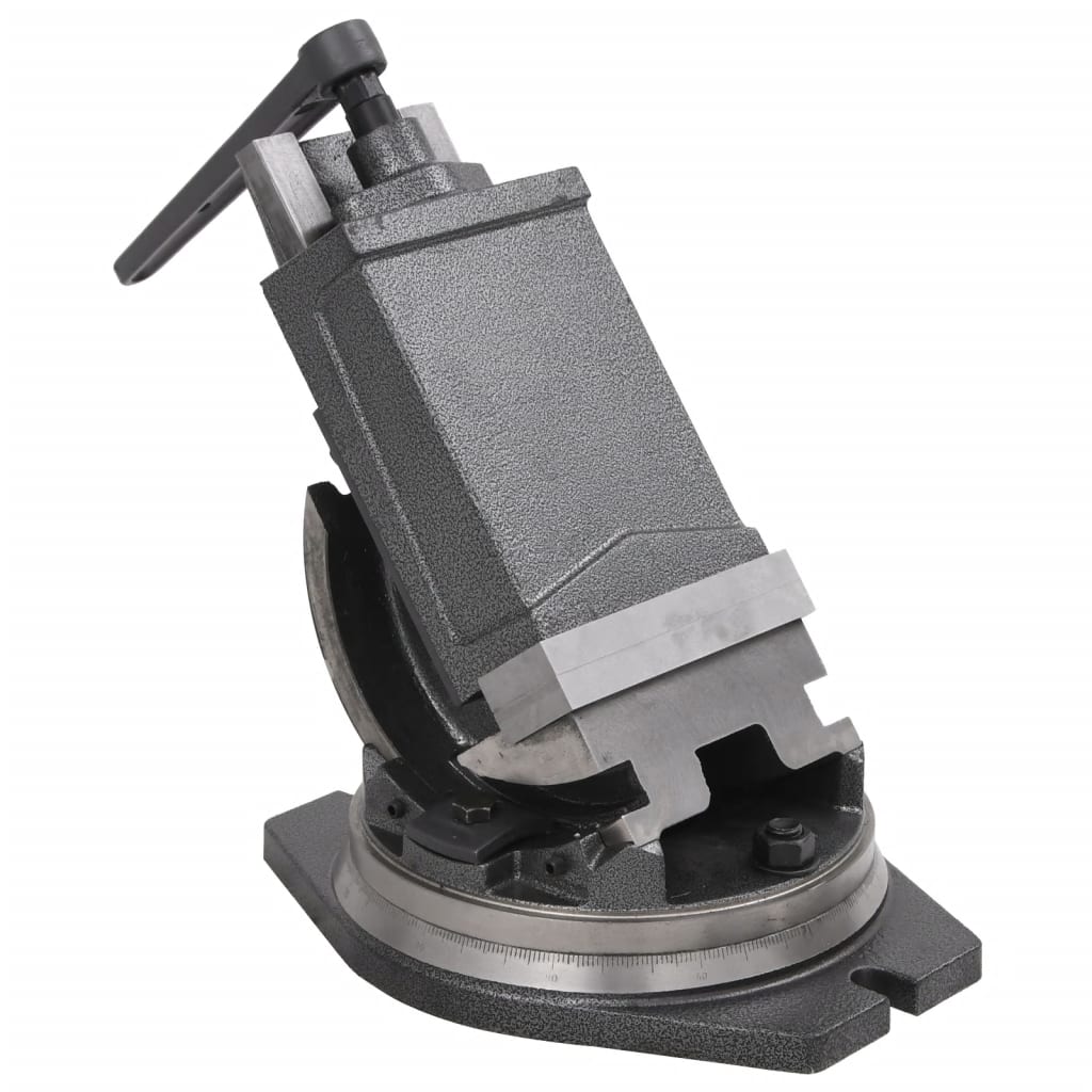 vidaXL Tornillo de Banco Basculante de 2 Ejes Deslizamiento Cruzado Ancho máximo de sujeción 100 mm, 160 mm