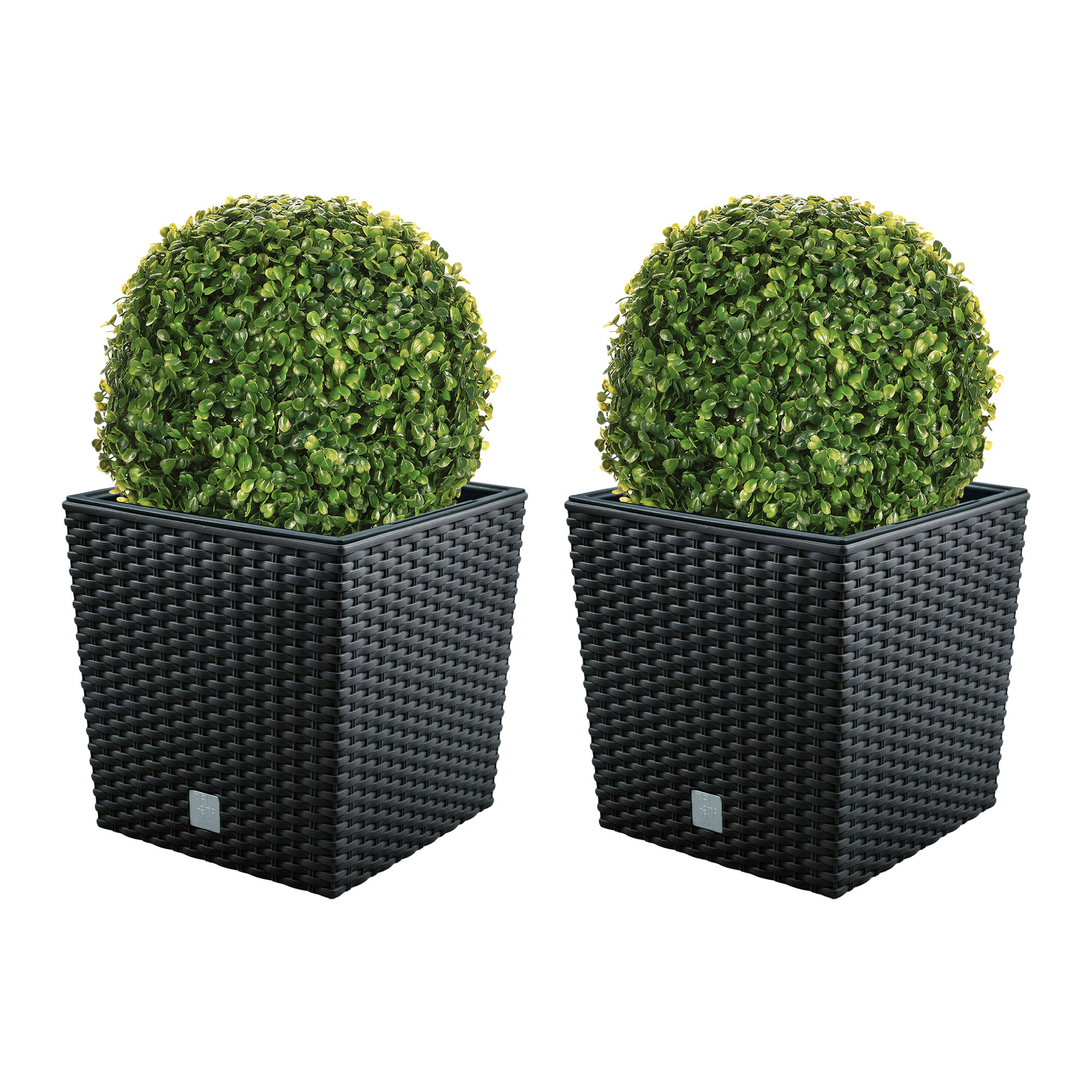 Wellhome Doble Set de Maceta Rato 32 Litros con Cubilete y Bola de Boj para Interior y Exterior