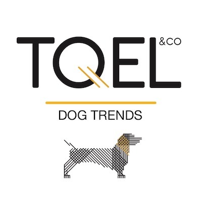 tQel dog trends - Tienda Oficial | Miravia