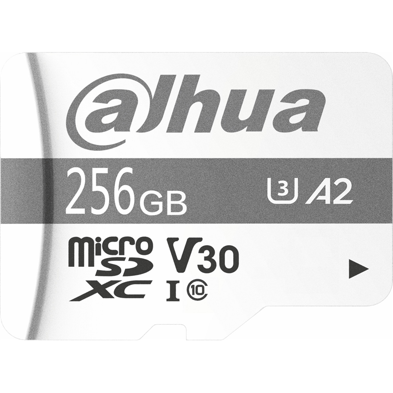Dahua Tf-P100 Tarjeta De Memoria 256GB