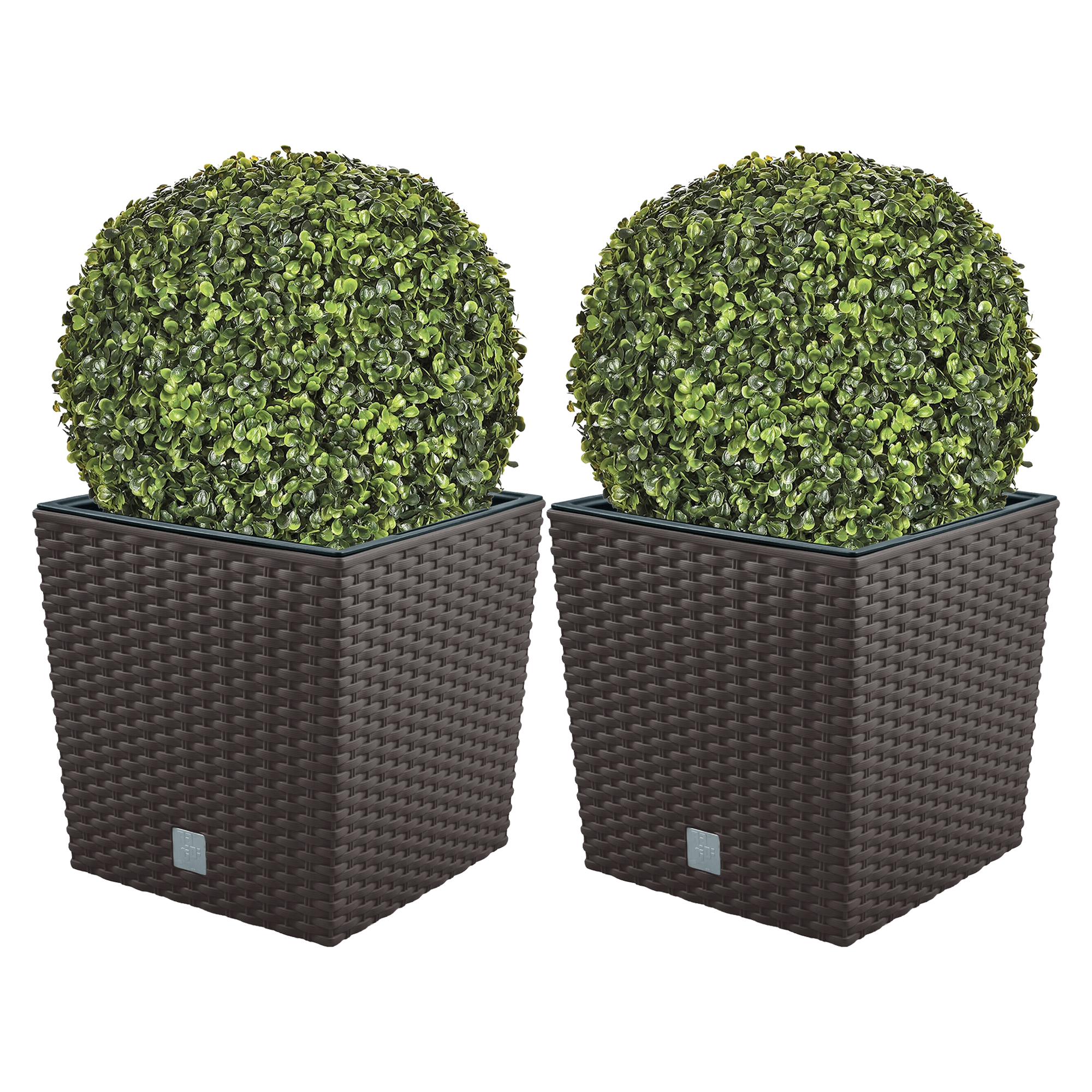 Wellhome Set de Maceta Rato 32 Litros con Cubilete y Bola de Boj Diámetro 36 Cm