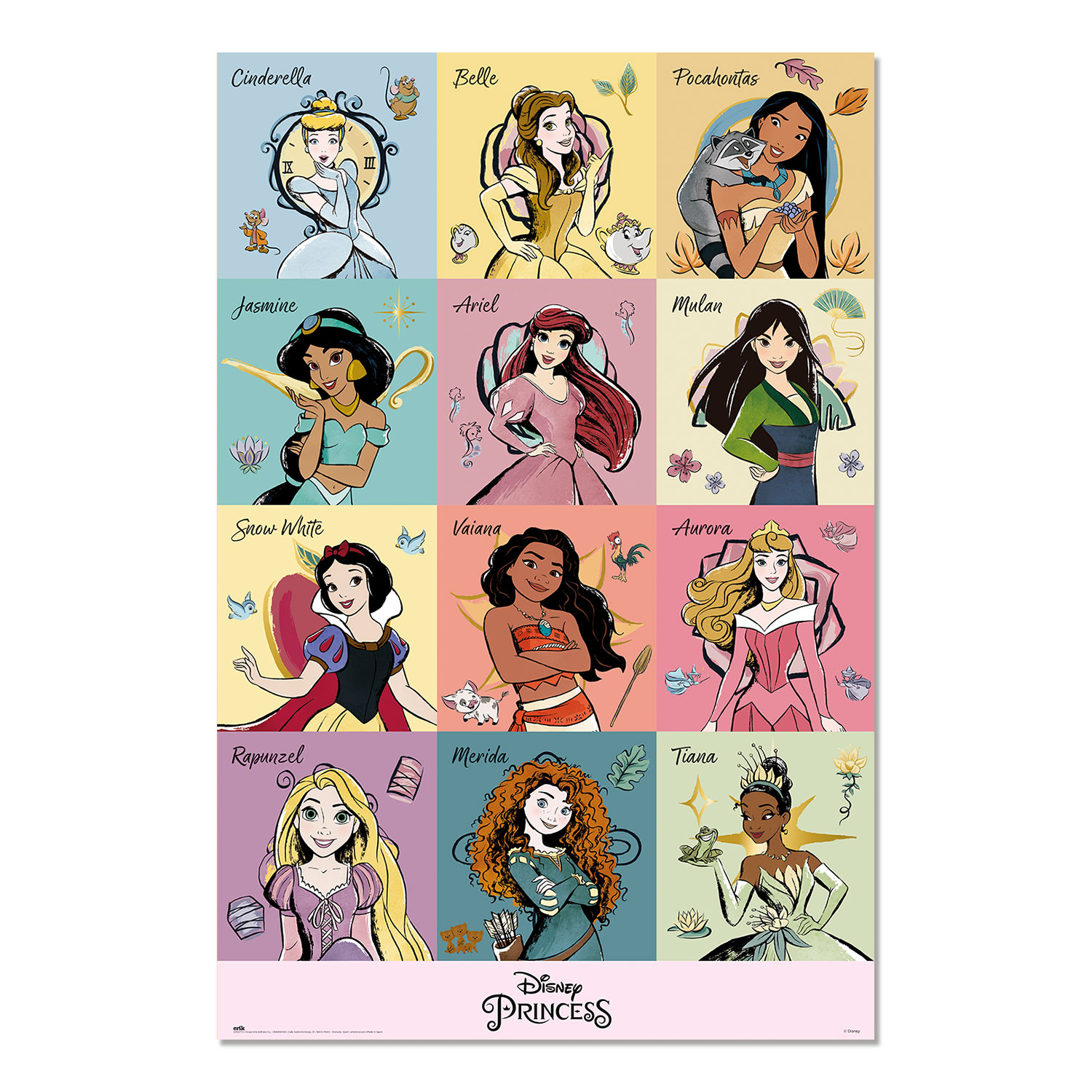Poster disney princess brush strokes