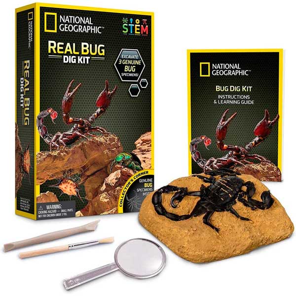 National Geographic Descubre Insectos