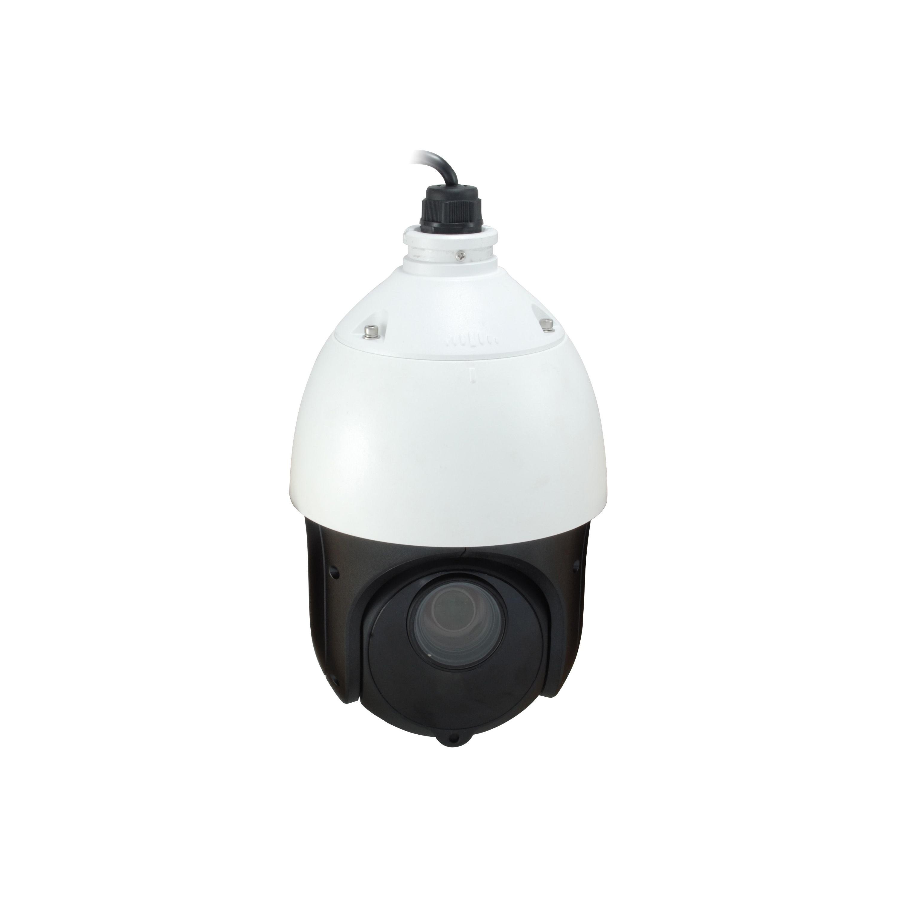 LevelOne FCS-4051 cámara de vigilancia Almohadilla Cámara de seguridad IP Interior y exterior 1920 x 1080 Pixeles Techo