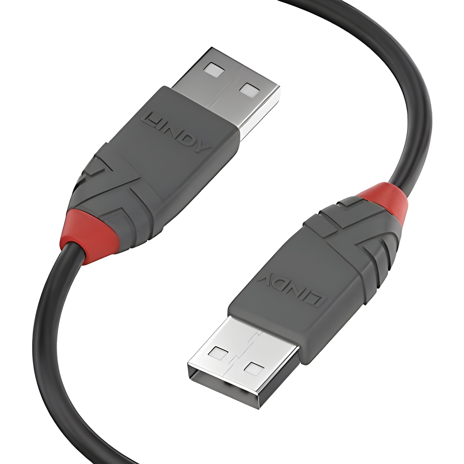 Adaptador de Video Lindy para Ordenador - Conexión Estable