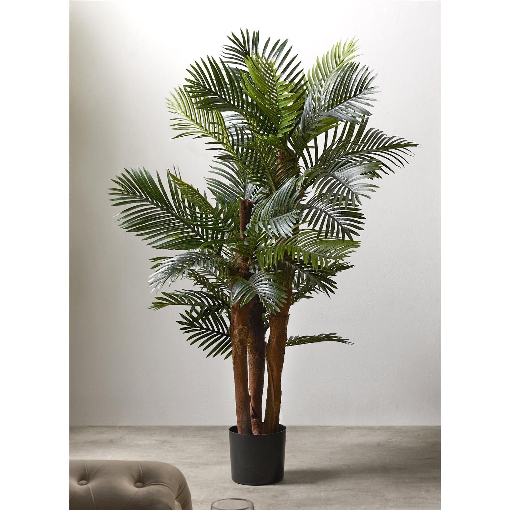 Planta kentia 156 cms. 156 cms. El mejor complemento para tu hogar lo encontrarás aquí.